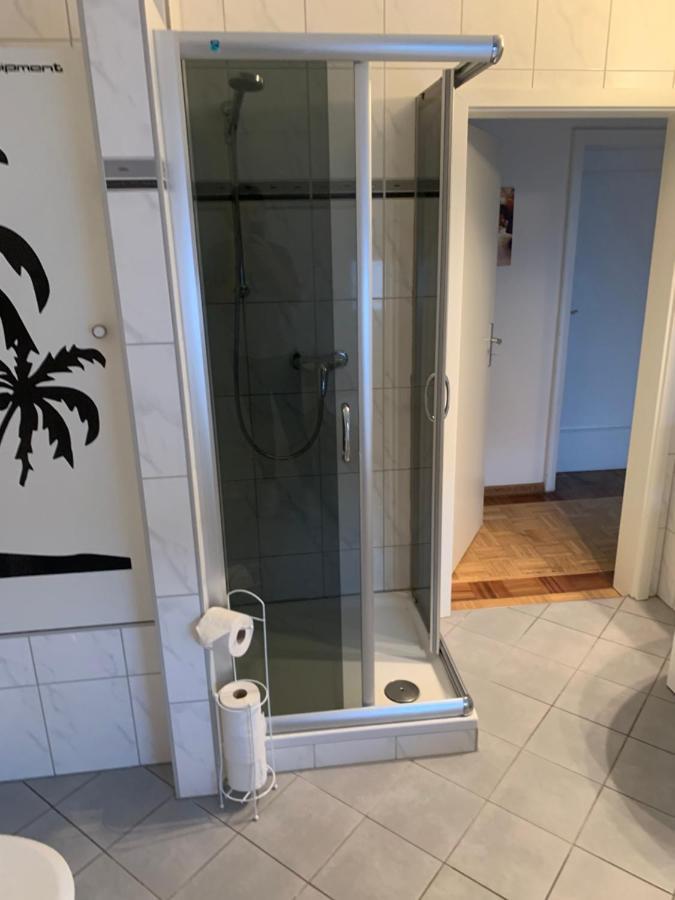 Mainpark Apartment 4 Schlafzimmer Bis Zu 10 Personen Direkt Ueber Aschaffapartment Bei Aschaffenburg Mainaschaff Exterior photo